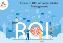 Measure ROI of Social Media Maganement-byappsinvo