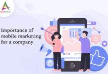 Importance of Mobile Marketing for a Company-byappsinvo
