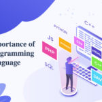Inportance of Programming-Language-by appsinvo