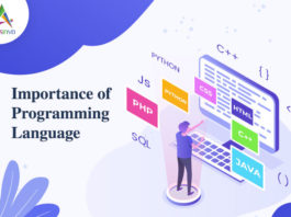 Inportance of Programming-Language-by appsinvo