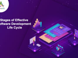 Stages-of-Effective-Software-Development-Life-cycle-byappsinvo.jpg