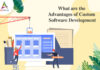 What are the Advantages of Custom Software Development-byappsinvo