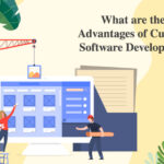 What are the Advantages of Custom Software Development What are the Advantages of Custom Software Development-byappsinvo