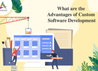 What are the Advantages of Custom Software Development What are the Advantages of Custom Software Development-byappsinvo