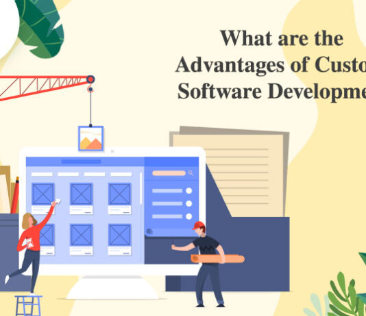What are the Advantages of Custom Software Development-byappsinvo