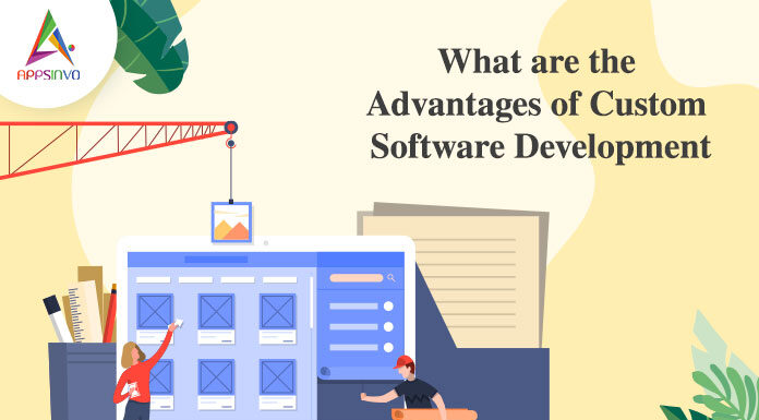 What are the Advantages of Custom Software Development-byappsinvo