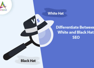 Differentiate Between White and Black Hat SEO Differentiate Between White and Black Hat SEO-byappsinvo.jpg