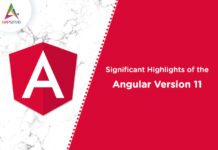 Significant-Highlights-of-the-Angular-Version-11-byappsinvo