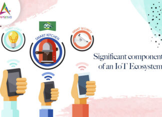 1 / 1 – Significant Components of an IoT Ecosystem-byappsinvo.jpg