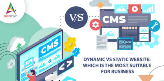 Dynamic-Vs-Static-Website-Which-is-the-Most-Suitable-for-Business-byappsinvo