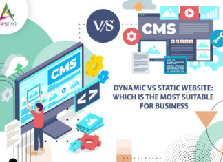 Dynamic-Vs-Static-Website-Which-is-the-Most-Suitable-for-Business-byappsinvo