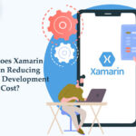 How Does Xamarin Help In Reducing The App Development Cost? How-Does-Xamarin-Help-In-Reducing-The-App-Development-Cost-byappsinvo