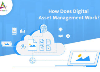 How-Does-Digital-Asset-Management-Work-byappsinvo