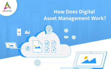 How-Does-Digital-Asset-Management-Work-byappsinvo