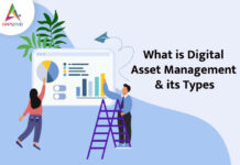 What is Digital Asset Management & its Types What-is-Digital-Asset-Management-its-Types-byappsinvo
