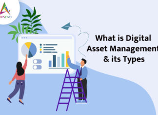 What-is-Digital-Asset-Management-its-Types-byappsinvo