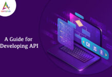 A-Guide-for-Developing-API-byappsinvo