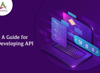 A-Guide-for-Developing-API-byappsinvo