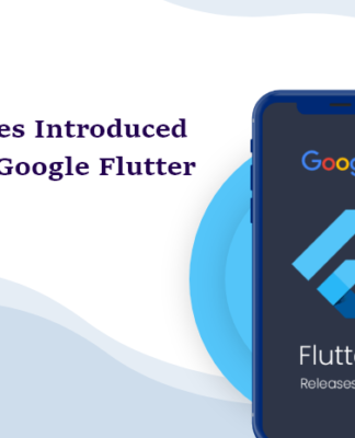 Features Introduced in the Google Flutter 2.2 Features Introduced in the Google Flutter 2.2-byappsinvo.