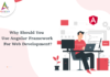 Why You Should Use Angular Framework For Web Development-byappsinvo