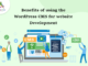Benefits of using the WordPress CMS for website development Benefits-of-using-the-WordPress-CMS-for-website-development-byappsinvo.