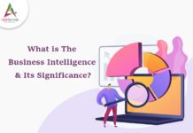 1 / 1 – What is The Business Intelligence & Its Significance-byappsinvo.jpg