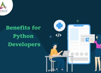What-is-celery-its-benefits-for-python-developers-byappsinvo.jpg