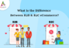 1 / 1 – What is the difference between B2B & B2C eCommerce-byappsinvo.png