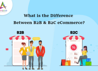 1 / 1 – What is the difference between B2B & B2C eCommerce-byappsinvo.png