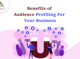 Benefits-of-Audience-Profiling-For-Your-Business-byappsinvo.png