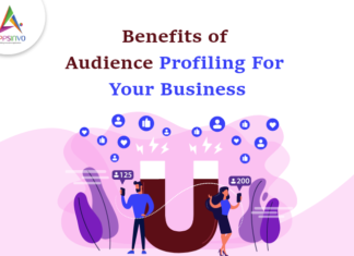 Benefits-of-Audience-Profiling-For-Your-Business-byappsinvo.png