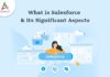 1 / 1 – What is Salesforce & its significant aspects-byappsinvo.jpg