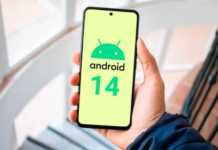 Google Released the First Public Beta Version of Android 14