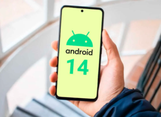 Google Released the First Public Beta Version of Android 14