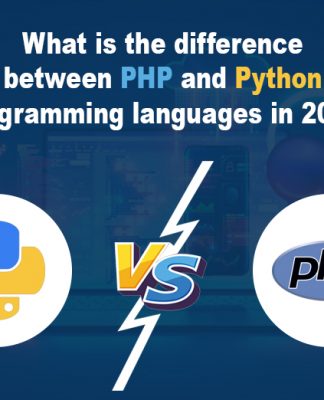 Differences Between PHP and Python Programming Languages in 2025