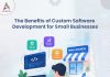 Custom Software Development for Small Businesses