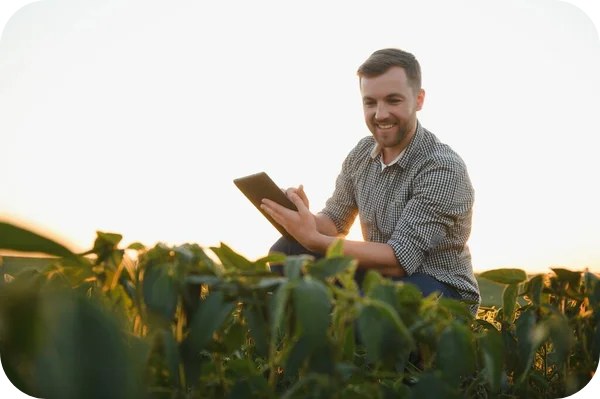 Why Invest in Agriculture Software Development?